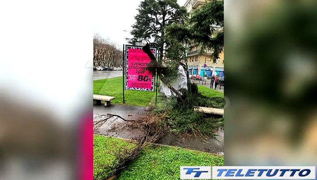 Video News - Maltempo: raffiche di vento a 113 chilometri orari