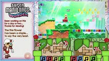 Super Mario Bros. Wonder - Fire Flower - Virtual Guide!