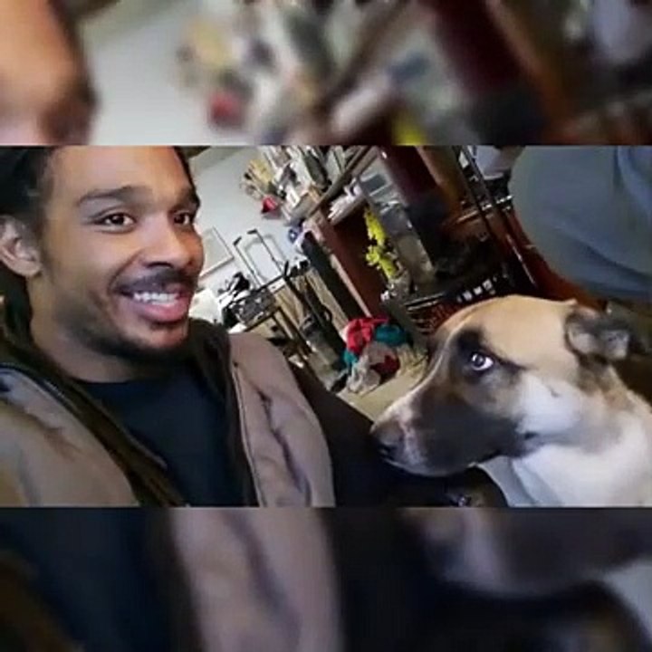 Funniest Dogs And Cats Ever  - Best Funny Animal Videos Of The 2026