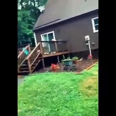 Minutes of FUNNY Pets_"Funniest Animals Ever! 2025 | Animal Comedy Kingdom‫‬