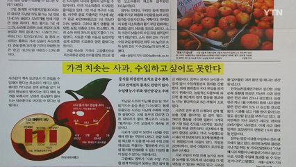 [굿모닝브리핑] "2개에 만 원" 치솟는 가격에도 사과 수입 어려워 / YTN