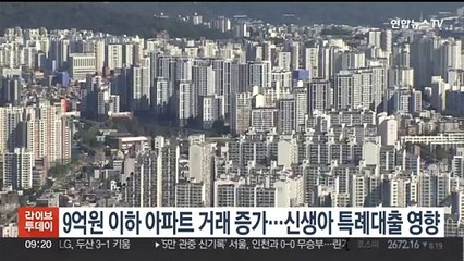 9억원 이하 아파트 거래 증가…신생아 특례 대출 영향