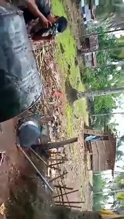 cAne
