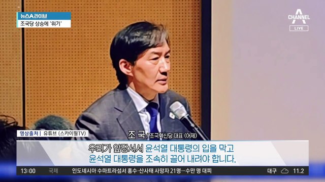 ‘피고인 도피처’된 조국혁신당?