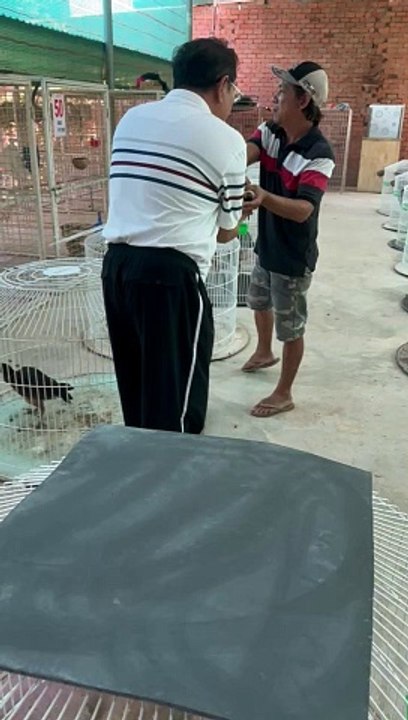 TGDN 200