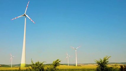 Relaxing Nature Background Music for Yoga & Meditation 🌿