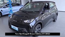 Available with Improved Color Options and Discounted Price, New Byd Seagull Honor Edition EV 2024