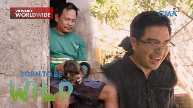Meet 'Musing,' a pet palm civet cat in Antipolo, Rizal | Born to be Wild