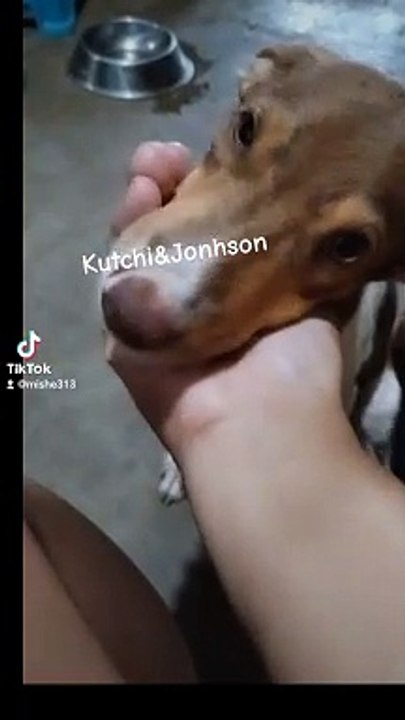 Kutchi And Johnson