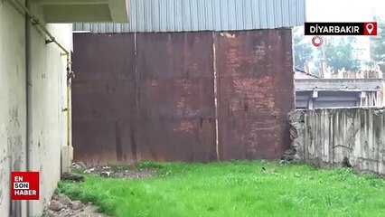 Diyarbakır'da apartman sakinleri, evlerine kaçak dükkan içinden giriyor