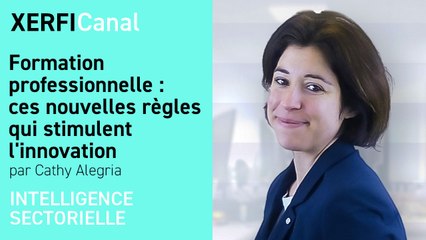 Formation professionnelle : ces nouvelles règles qui stimulent l'innovation [Cathy Alegria]