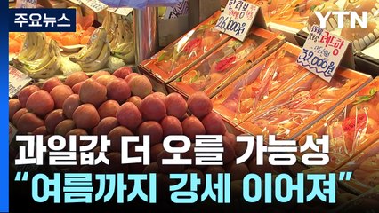"사과·배 가격 더 오를 수도"..생산성 높이며 대응 / YTN