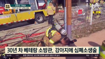 “생명 가리지 않는 게 원칙”…“멍멍아 숨 쉬어” 심폐소생술