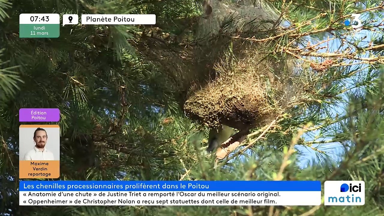 11/03/2024 - Le 6/9 de France Bleu Poitou en vidéo