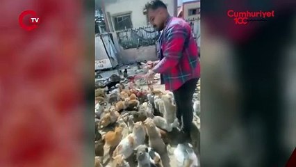 Kedi ve köpekleri işte böyle besliyor...