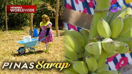 Kara David at Boobsie, napsabak sa paghakot ng dumi ng kalabaw?! | Pinas Sarap