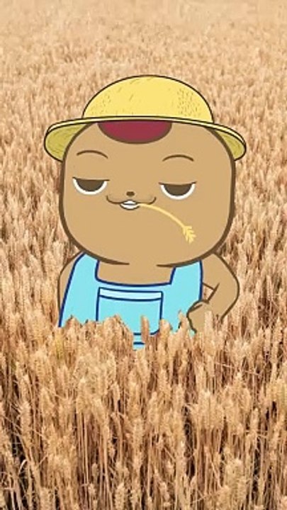 L'expérience du ventilo