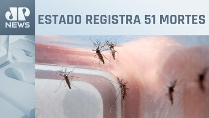 São Paulo dobra número de casos em relação a fevereiro