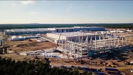 Activists protest Tesla plant expansion in Germany
