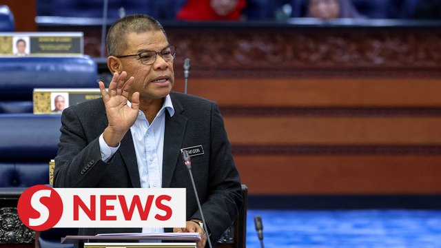 Respect court's decision on vernacular schools, says Saifuddin