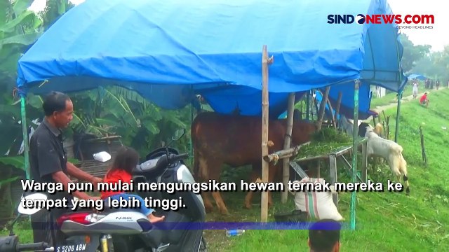 Meluas, Banjir Luapan Sungai Bengawan Solo Rendam 36 Desa di Bojonegoro