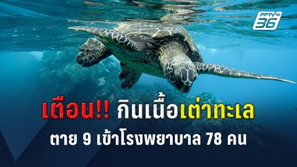 เตือน!! กินเนื้อเต่าทะเล ตาย 9  เข้าโรงพยาบาล 78 คน  | PPTVOnline
