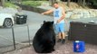Terrifying moment huge bear interrupts family cookout