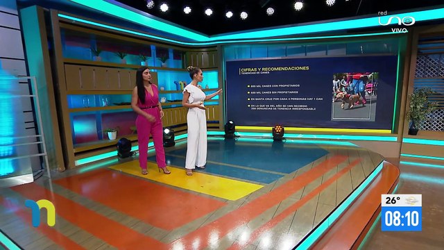 Mujer de la tercera edad atacada por 4 perros