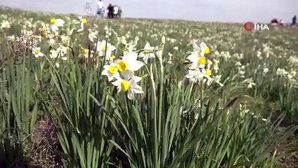 Adıyaman'a akın akın geliyorlar, tam 20 dönüm alanda oluştu!