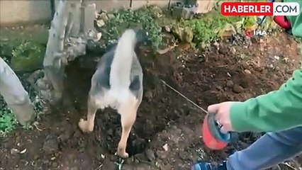 Hatay'da bin 298 uyuşturucu hap ele geçirildi