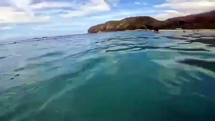 @tingloy batangas