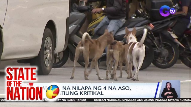2-anyos na nilapa ng 4 na aso, nananatiling kritikal | SONA