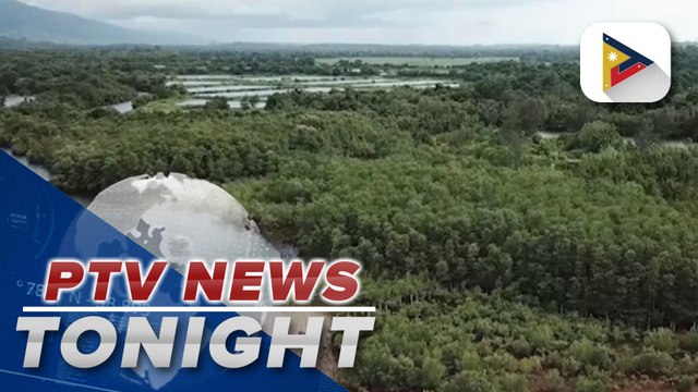 DENR, EU launch green economy program