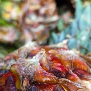 -ANDRÉS DE JESÚS VÉLEZ FRANCO- MEDALLAS OLÍMPICAS DE COLOMBIA (PARTE 1) (@AndresdeJesus90)