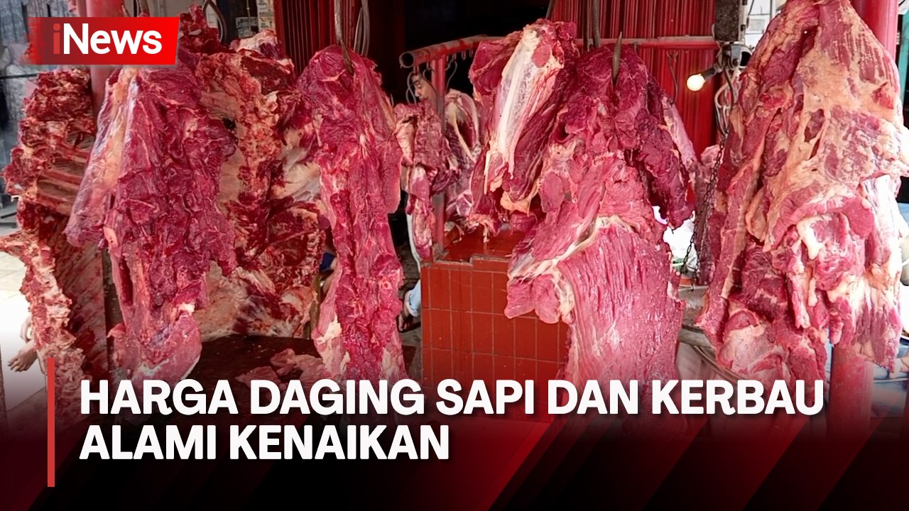 Pasokan Jarang, Harga Daging Sapi dan Kerbau Al...