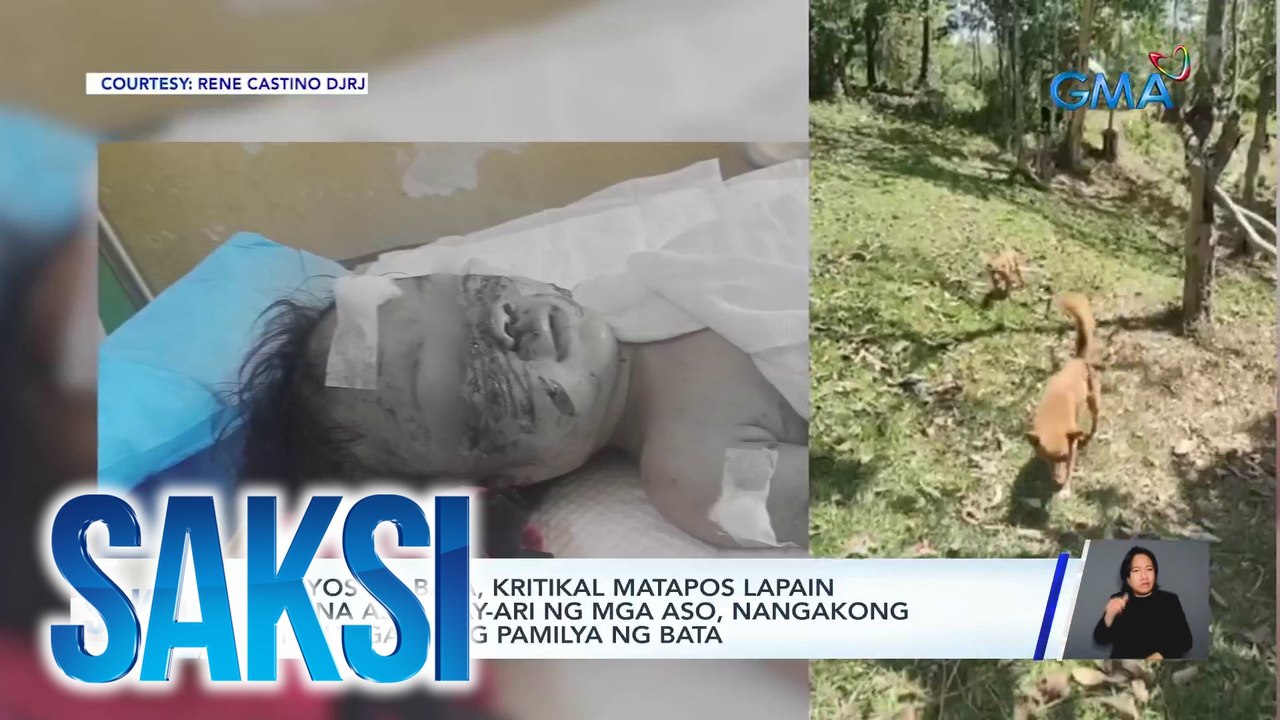 2-anyos na bata, kritikal matapos lapain ng 4 na aso; may-ari ng mga aso, nangakong tutulungan ang pamilya ng bata | Saksi