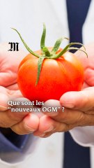 Que sont les « nouveaux OGM » ?