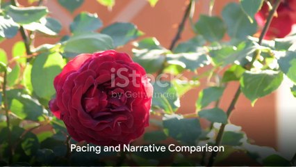 Peter Pan & Wendy: A Charming Adaptation with a Twist