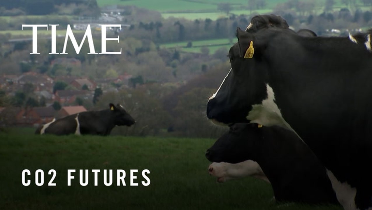 Is Zero Emissions Beef Possible?
