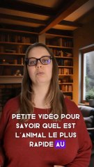 quels sont les animaux les plus rapides ?