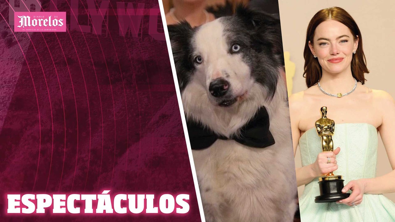 Te contamos cuáles fueron los mejores momentos en los #Oscars2024 , estos son los espectáculos del día con Adriana Lugo