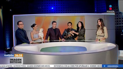 Descubren el esqueleto de un dinosaurio gigante en Francia