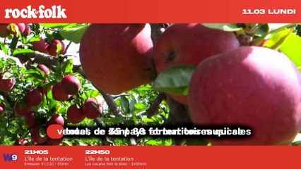 Plongez dans le programme époustouflant de la 45e édition des Trans Musicales de Rennes !