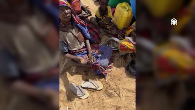 Savaş ve kıtlığın pençesindeki Sudanlılar, hayatta kalmak için çekirge yemek zorunda