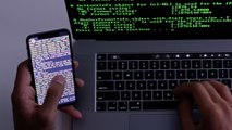 Des hackeurs pro-russes revendiquent une cyberattaque massive contre des services de l’État