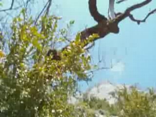 Via ferrata Fort l'Ecluse(01)