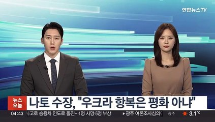 나토 수장, "우크라 항복은 평화 아냐"