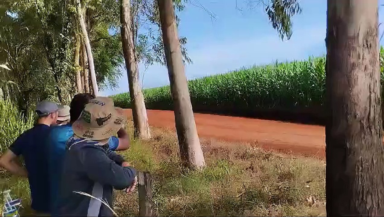 Video: El fuerte vuelco de un boliviano en el rally Trans Itapúa de Paraguay