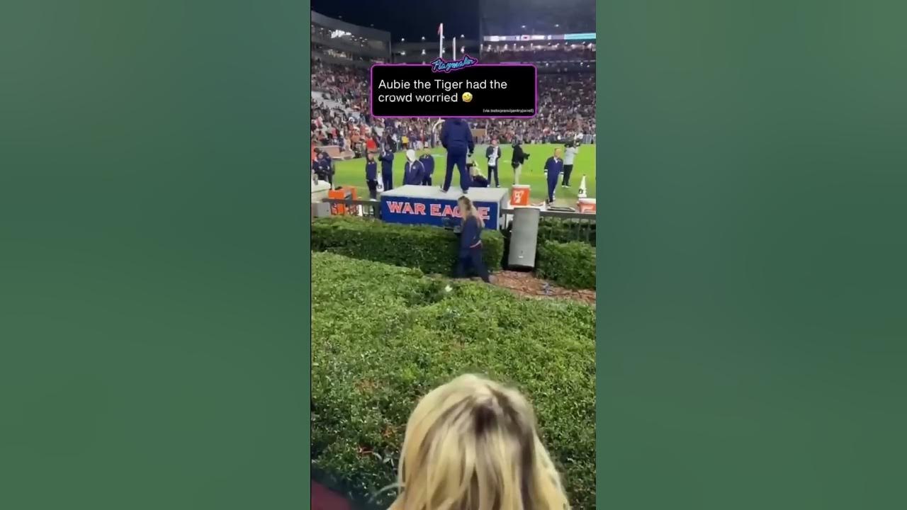 What just happened  | #Shorts