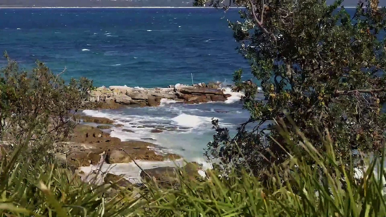 The Great Big Little Penguin Count video by NSW Environment and Heritage